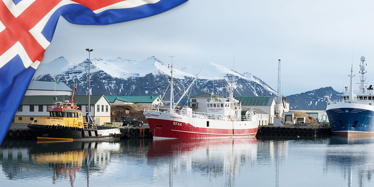 Bacalhau Especial Cura Amarela Islândia Seleção
