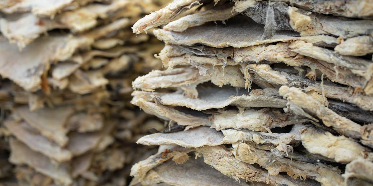 Bacalhau Corrente Noruega