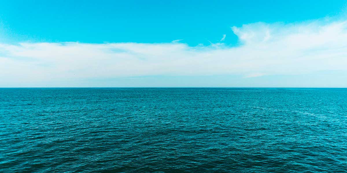 Bacalhau do Pacífico Desfiado