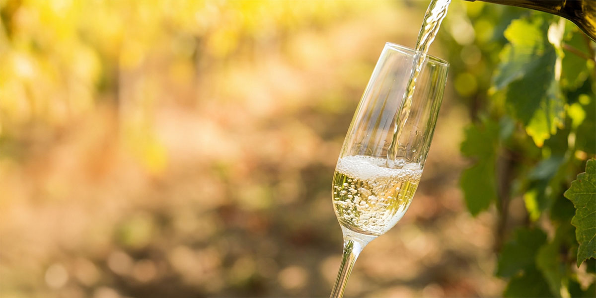 Espumante Bruto Vintage 2015 Murganheira