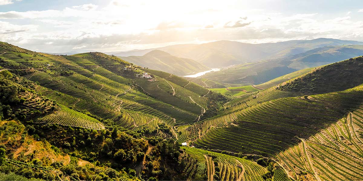 Espumante Bruto Vintage 2015 Murganheira